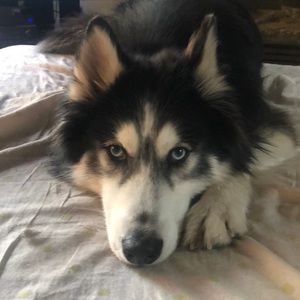 Meet your Posher, Crystal